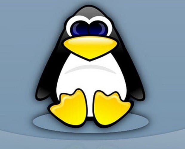 Entry Level Linux Essentials Certificate of Achievement Training Course